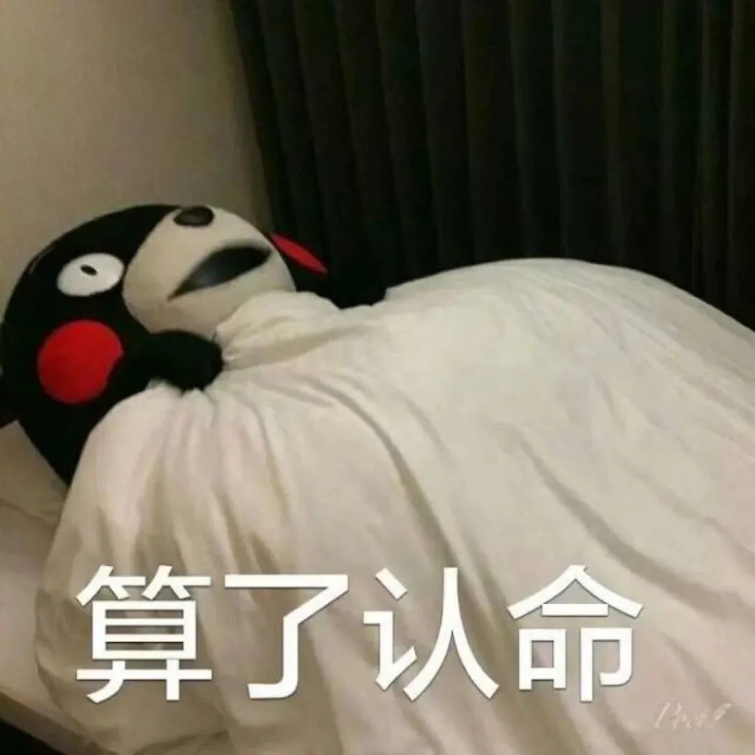w3.jpg