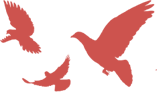 w2.jpg