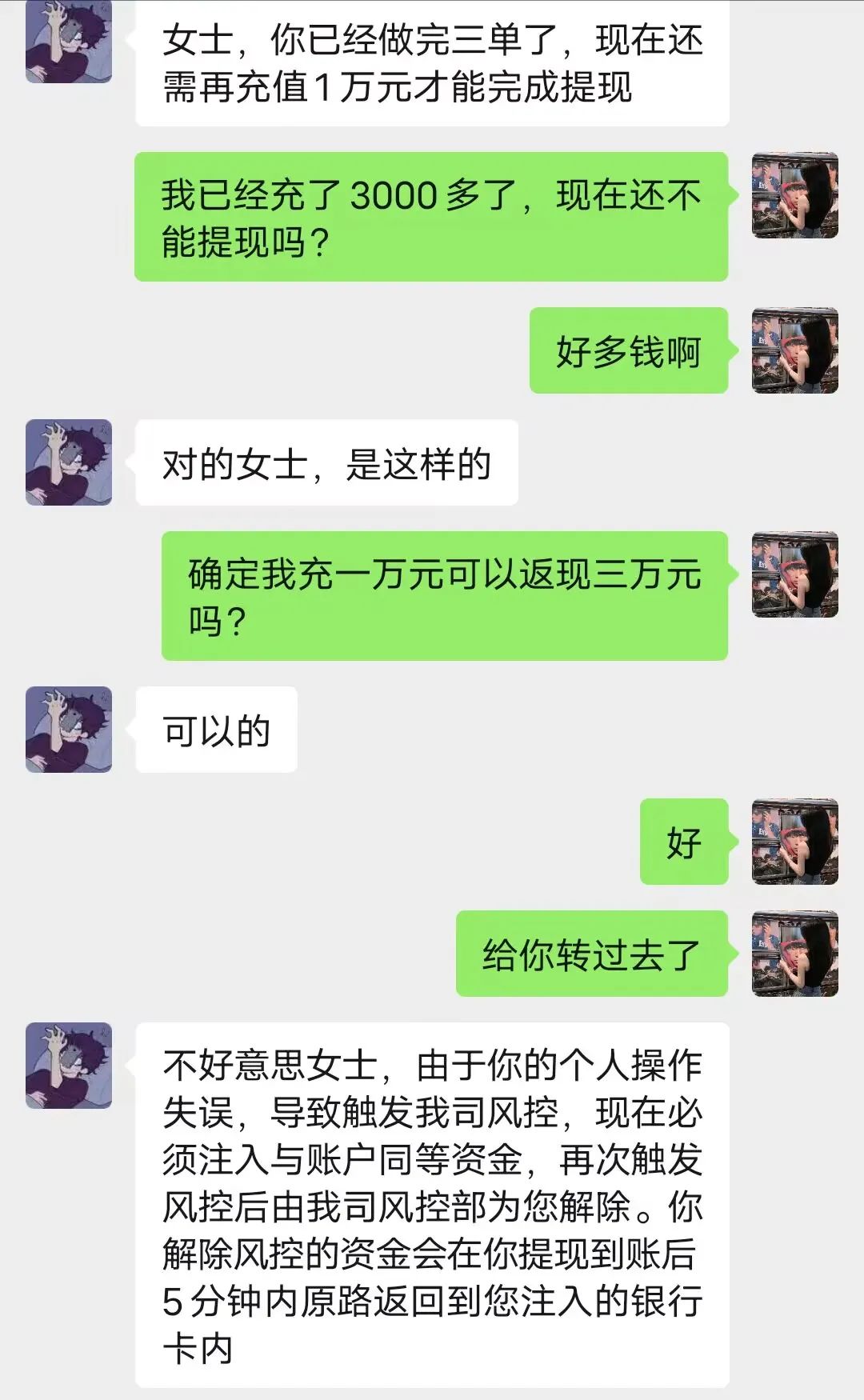 w5.jpg