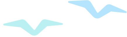 w6.jpg