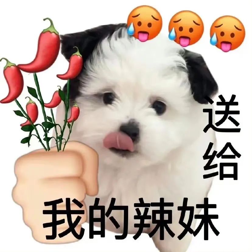 w3.jpg