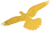 w5.jpg
