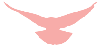 w18.jpg