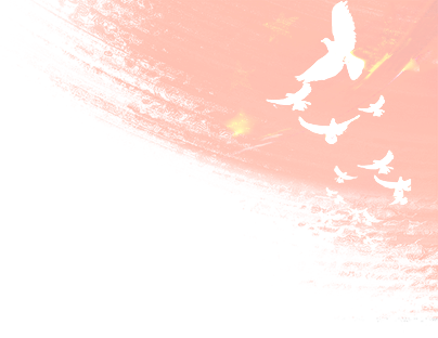 w2.jpg