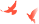 w5.jpg