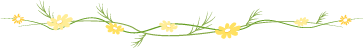 w9.jpg