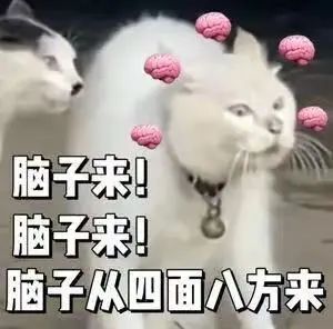 w4.jpg