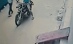 w15.jpg