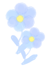 w14.jpg