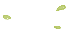 ƭǧ ǧмơСηƭȫw5.jpg