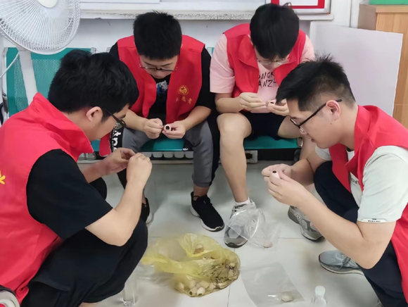 ഺǻ㣬ͬ硱ʵСӷթ-3.jpg