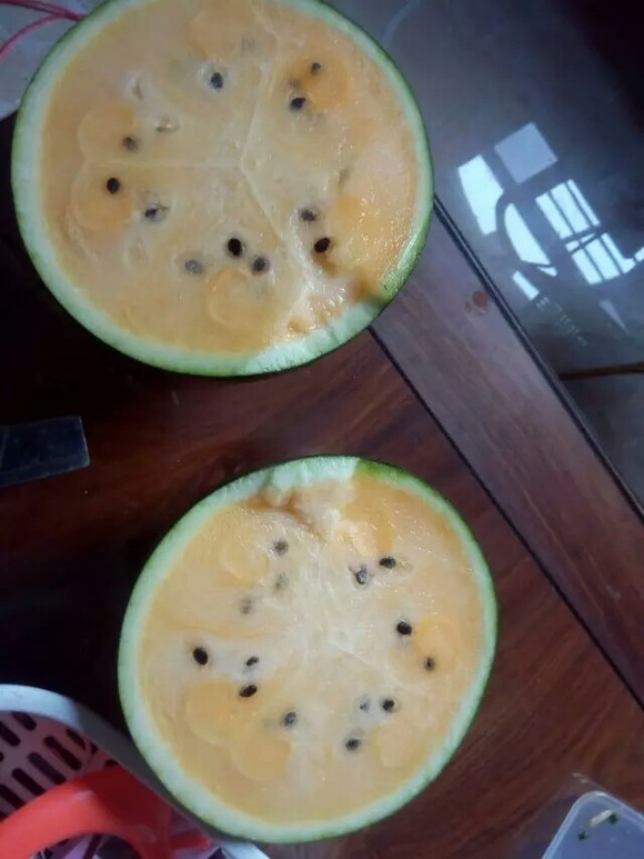Ǹۡɳĵط-3.jpg