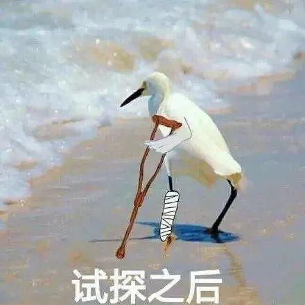 ʾƭУ-7.jpg