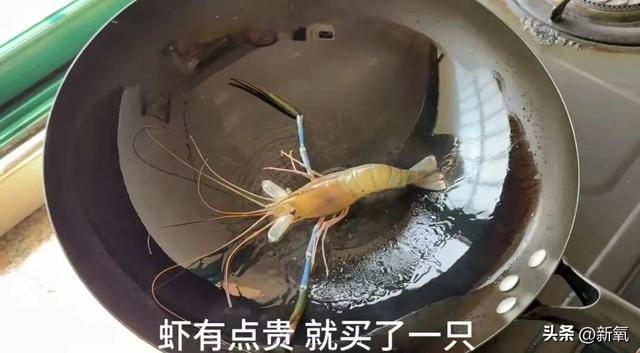 죬ĳԽۣһμʶPUAɧ-20.jpg