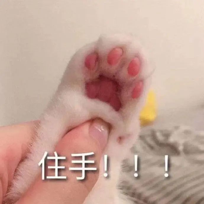 콵ҷƶw3.jpg