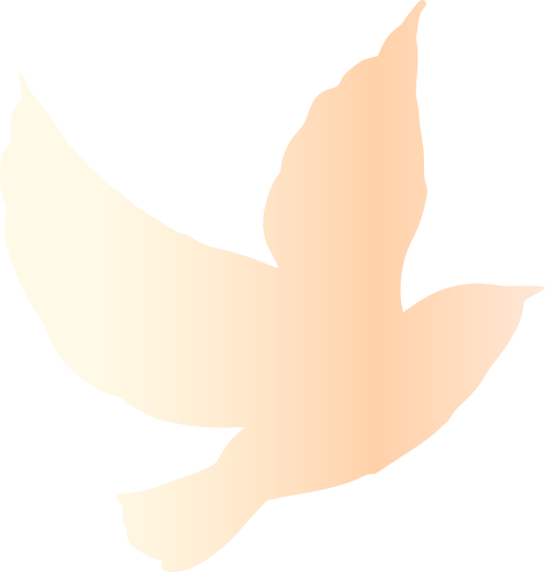 թƭػǮȫ,һթָ!w7.jpg