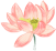 ³ֿչʹǷշw1.jpg