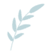 թƭܺ˿Ҫ󡰿е⳥?w21.jpg
