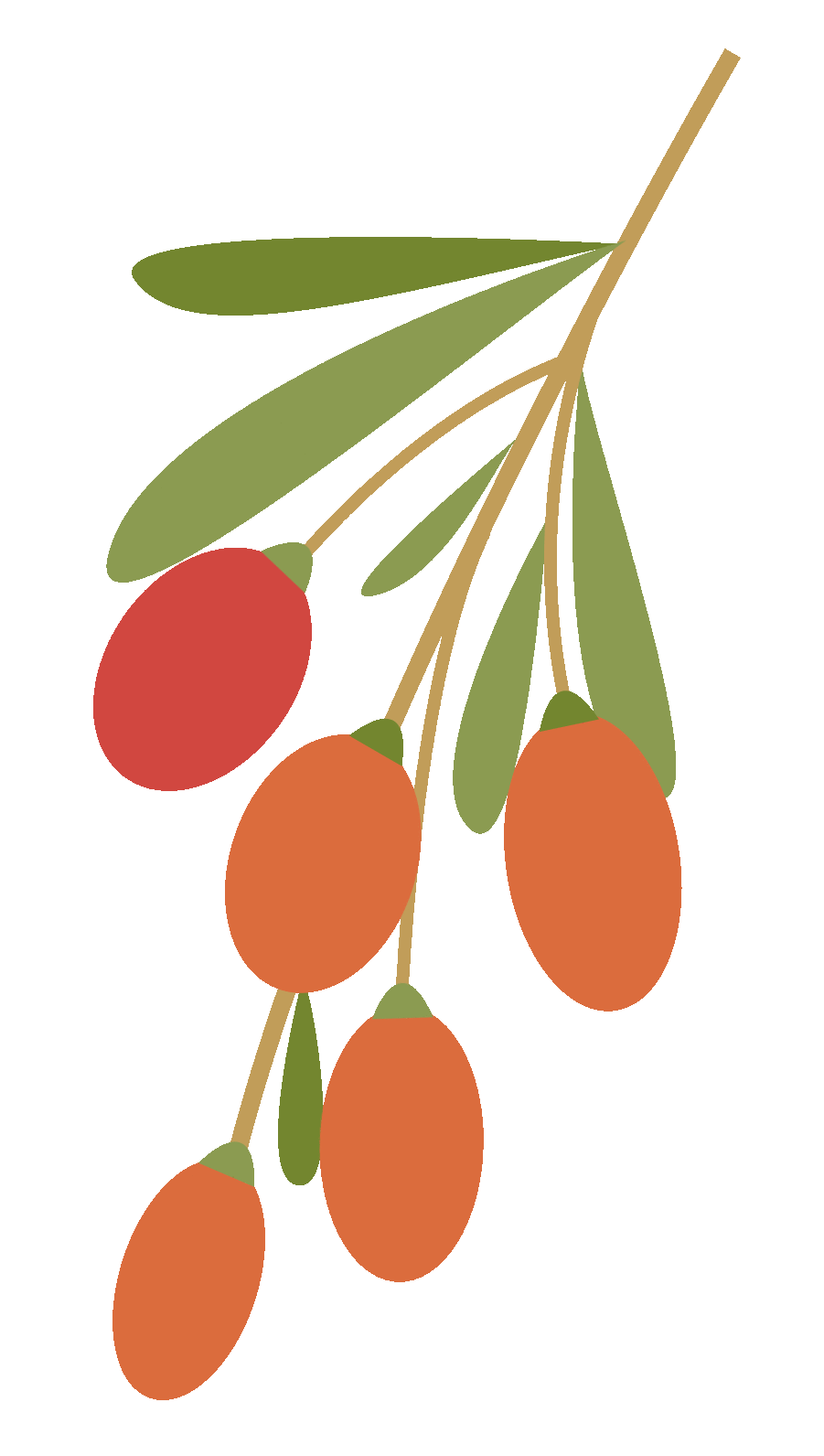 520,벻Ҫթƭġ塱w23.jpg